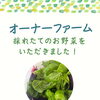 【オーナーファーム】岐阜市、各務原市で女性トレーナーのいるパーソナルスタジオをお探しの方はMINA STYLEへ！