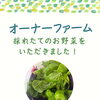 【オーナーファーム】岐阜市、各務原市で女性トレーナーのいるパーソナルスタジオをお探しの方はMINA STYLEへ！