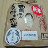 大粒の輝き！与謝野町産「いのちの壱」を浪江農園で販売中です🌾✨