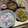 お腹いっぱいになる食事は栄養足りるでしょうか💡