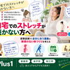 自宅でのストレッチが続かない方へ｜姿勢診断で自分に合う動きと無理のない体づくりを考える【安来市・米子市・松江市　カイロプラクティック・整体】