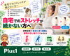 「自宅でのストレッチが続かない方へ｜姿勢診断で自分に合う動きと無理のない体づくりを考える【安来市・米子市・松江市　カイロプラクティック・整体】」