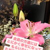 静岡市の結婚相談所マリッジアオキ｜会員の方の幸せを心から願う温かな婚活サポート！23年の経験で寄り添う安心のカフェ相談☕💍✨