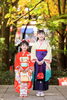 「12月の七五三・二宮神社様での紅葉撮影がおススメ！」