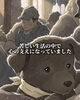 「シベリアに取り残されたクロの物語🐕‍🦺」