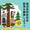 涸沼自然研究会「野鳥を観察しよう！」開催のお知らせ📣