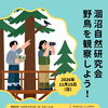 涸沼自然研究会「野鳥を観察しよう！」開催のお知らせ📣
