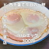 今日の一杯に寄り添う素朴な旨み！ドラム缶で味わう定番おつまみ「ハムエッグ」300円