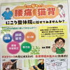 首・肩・腰など気になるお悩みはまとめて話して大丈夫♪相談のコツと安心のステップ😊✨