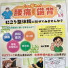 首・肩・腰など気になるお悩みはまとめて話して大丈夫♪相談のコツと安心のステップ😊✨