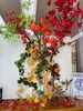 「🍁 秋も深まり、紅葉の季節ですね！」