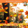 10/24(土)〜25(日)開催！今週末の徳島イベント17選を公式Instagramでご紹介中