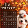 11月の営業予定