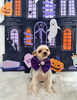 ふむくん「Happy Halloween 2026🎃」