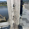 渡月橋の美しい景色と穏やかな川の流れに癒されて♪家電や住まいのお困りごとはアトム電器伊勢崎店へお気軽にどうぞ！