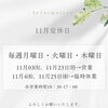 【お知らせ】11月の定休日・特別営業日・臨時休業のご案内🎒✨