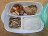 「今日のお昼ご飯」