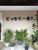 新しい看板がつきました！「昭和レトロな純喫茶と爽やかなカフェ風、選べる2つのリラックス空間」