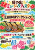 「日の出ミュージックフェスタで三線体験ワークショップとオリジナルカッティングシート販売を行います」