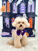 セシルくん「Happy Halloween 2026🎃」