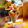 美味しいりんご🍎北海道仁木町産『紅将軍』