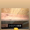 久しぶりに訪れる空き家の点検｜木くずや害虫の痕跡を見逃さないためのセルフチェック