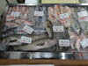 2026年10月25日 店内「📣本日のお魚情報🐟」