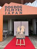 「🎬🐶✨ 日本初開催！！！

DOG DOG FILM FEST in JAPAN 



無事に終了いたしました！👏✨」