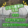 ぶどう農家の1日｜受け継がれてきたビニールハウスのメンテナンス作業