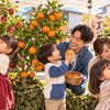 11/22(日)開催♪秋の恵み収穫体験～旬の3大フルーツプレゼント～