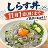 生しらす丼「しらす丼11月1日(日)まで」