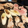 とり肉の可能性再発見！　「焼き肉」ならぬ「鳥焼き」が美味だった件