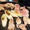 とり肉の可能性再発見！　「焼き肉」ならぬ「鳥焼き」が美味だった件