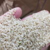 注目のお米！特別栽培米ゆうだい21　新米入荷です！🌾✨