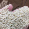 注目のお米！特別栽培米ゆうだい21　新米入荷です！🌾✨