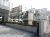 伐採後のお写真です。「【施工事例】夏に茂った枝葉をすっきり！ 秋の植栽のお手入れ🌿」