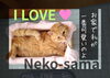 猫ベッド「可愛い猫様の言いなりに　～木製プランターが猫ベッドに～｜Nor.t.h」
