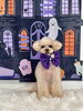 ちゃまめちゃん「Happy Halloween 2026🎃」