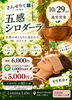 「【10月29日（木）営業のご案内】温かなハーブ温水で頭と心をゆるめる五感シロダーラ®｜公式LINE特典も」