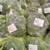 採れたての新居浜産がずらり！新鮮な地元野菜を選ぶ楽しさあふれる青果売り場へ遊びに来ませんか？