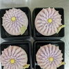 ハサミ菊