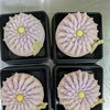 ハサミ菊