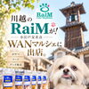 川越のRaiMが！WANマルシェに出店
