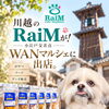 川越のRaiMが！WANマルシェに出店