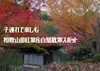 「子連れで楽しむ！秋の和歌山・紅葉＆自然散策おすすめスポット4選」