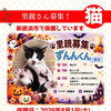 【愛媛県新居浜市】里親募集のお知らせ！