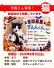 「【愛媛県新居浜市】里親募集のお知らせ！」