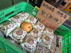 「秋の味覚が入荷！京丹後産・但馬産の梨を店頭販売＆全国発送受付中」