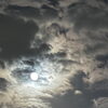 昨日のおつきさま🌙.*·̩͙
