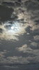 「昨日のおつきさま🌙.*·̩͙」